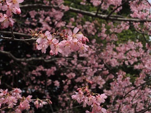 150331_2.jpg