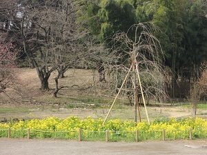 150331_3.jpg