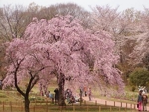 150331_5.jpg