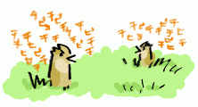 150526_1.gif