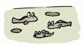 150628_1.gif