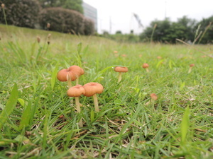 150726_3.jpg