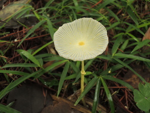 150726_4.jpg