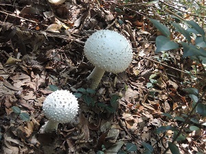 151027_2.jpg