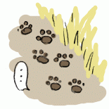160125_5.gif