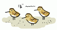 160528_1.gif