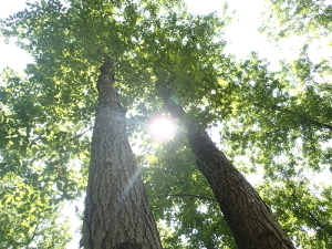 160627_10.jpg
