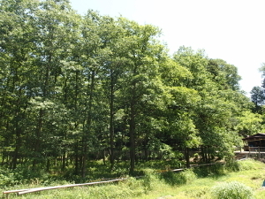 160627_7.jpg