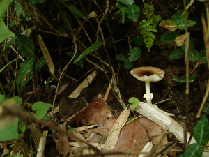 160728_10.jpg