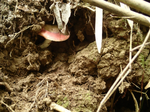 160728_11.jpg