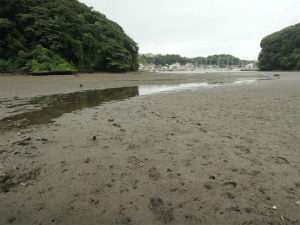 160728_14.jpg