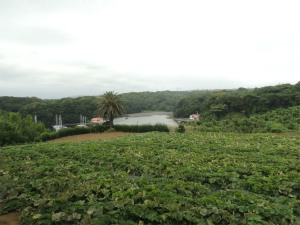 160728_15.jpg