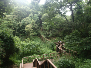 160728_6.jpg