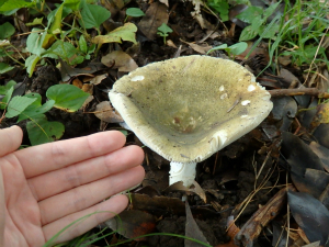 160928_10.jpg