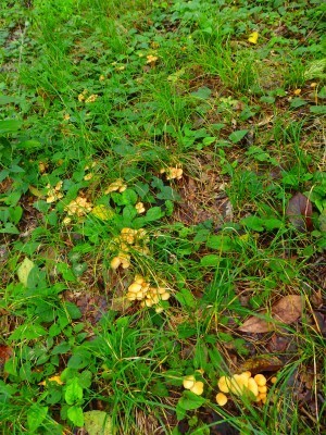 160928_12.jpg