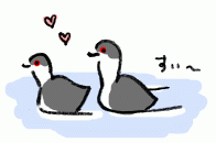 161130_1.gif