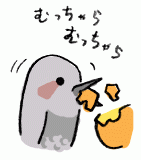 170126_3.gif