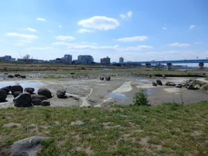 170328_4.jpg
