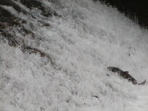 170417_3.jpg