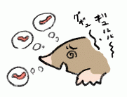 170528_2.gif