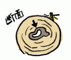 170530_2.gif