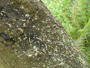 170530_5.jpg