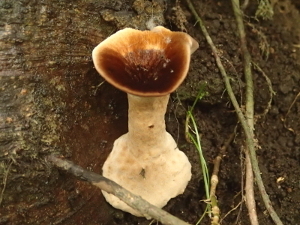 170824_5.jpg