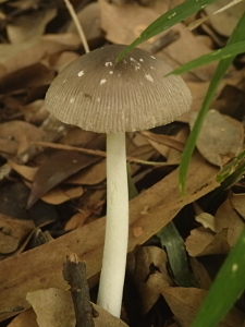 170824_6.jpg