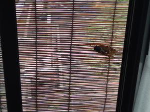 170831_1.jpg
