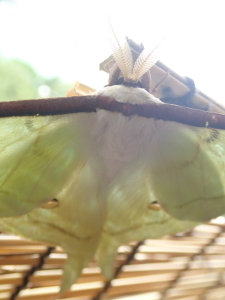 170831_4.jpg
