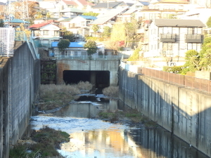 171224_8.jpg