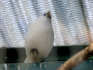 180302_5.jpg