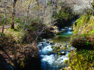 180326_3.jpg