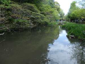180424_1.jpg