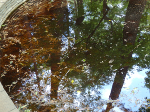 180424_2.jpg