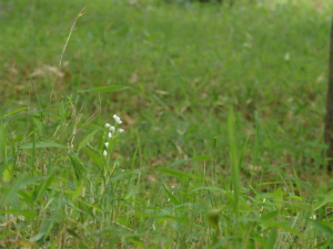 180424_3.jpg