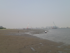 180527_2.jpg