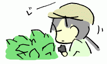180602_1.gif