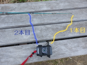 180613_4.jpg
