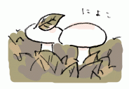 180628_3.gif