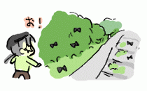 180701_1.gif