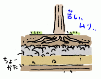 180918_3.gif