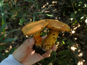 181030_1.jpg