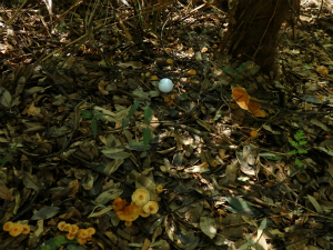 181030_3.jpg
