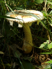181104_5.jpg