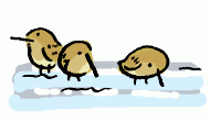 190115_2.gif