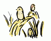 190115_3.gif