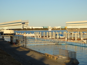 190123_1.jpg