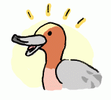 190125_1.gif