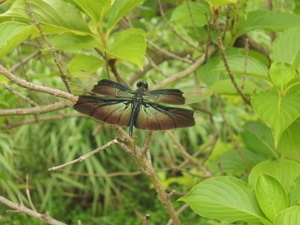 photo05.jpg
